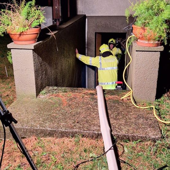 Bild enthält, Jar, Planter, Potted Plant, Pottery, Vase, Backyard, Yard, Soil, Interior Design, Grass
