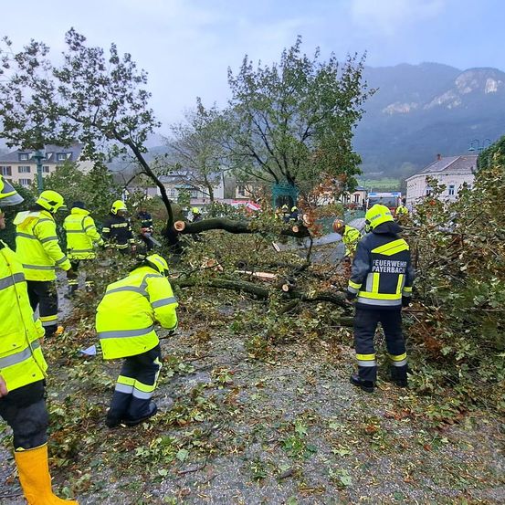 Bild enthält, Person, Worker, Helmet, Rescue, Clothing, Footwear, Shoe