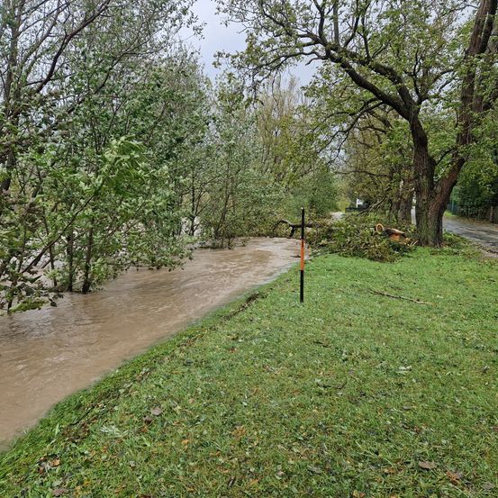 Bild enthält, Water, Flood, Plant, Tree, Outdoors, Grass, Canal, Tree Trunk
