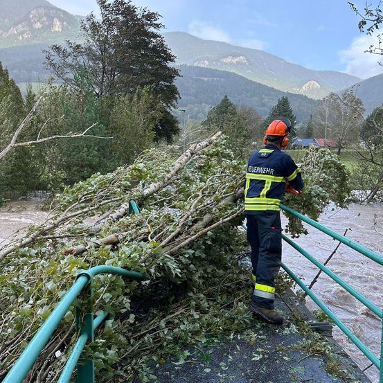 Bild enthält, Person, Worker, Adult, Male, Man