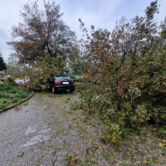 Bild enthält, Gravel, Road, Fir, Tree, Spoke, Tarmac, Alloy Wheel, Car, Vegetation, Person
