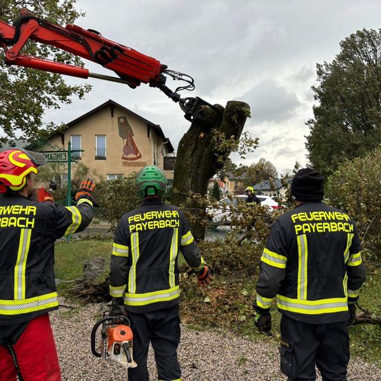 Bild enthält, Adult, Male, Man, Person, Helmet, Boy, Child, Worker, Rescue
