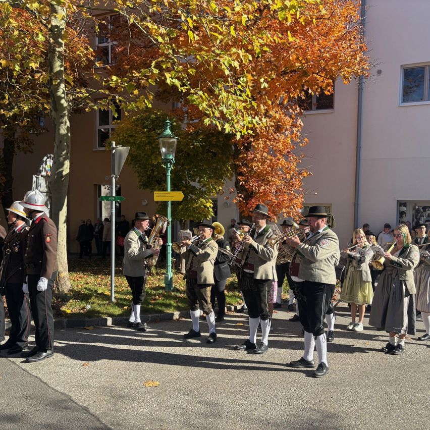 A brass band is playing instruments on the street in front of a building with trees.