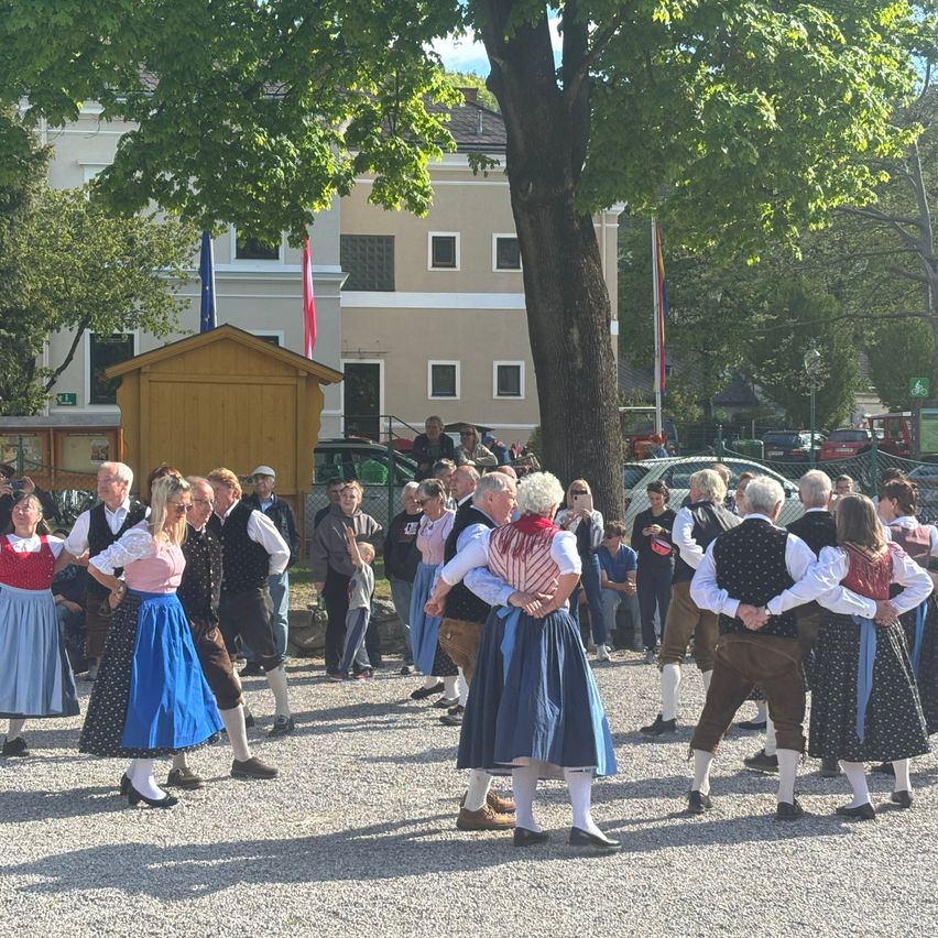 A group of people are dancing in traditional costumes in a town square, with buildings and trees in the background.