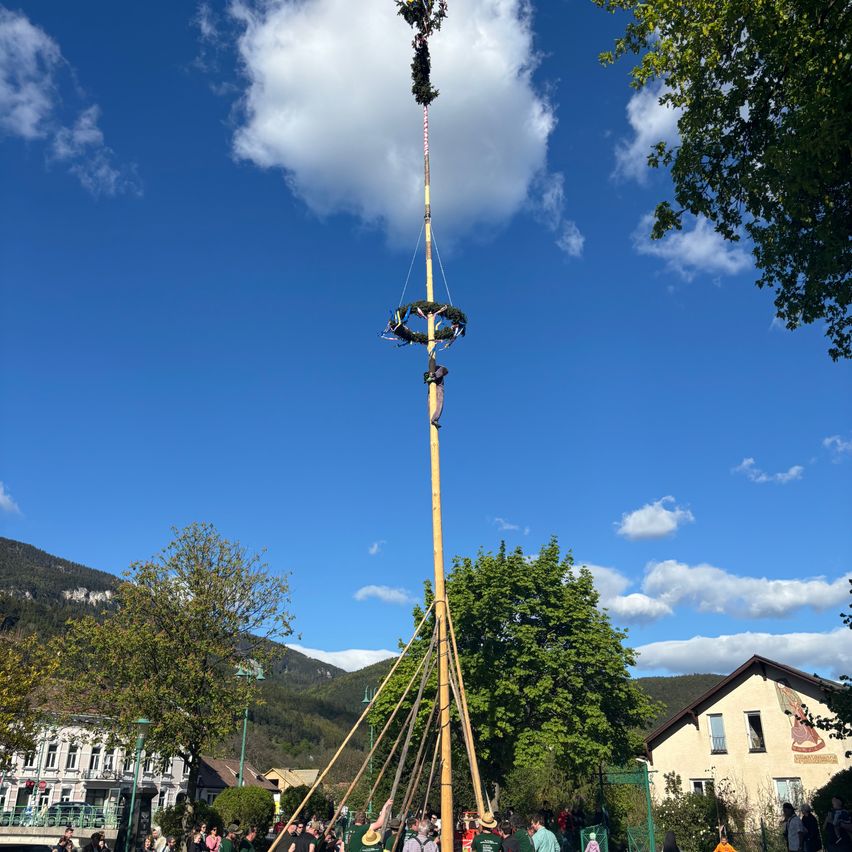 A large decorative pole with multiple people climbing up it on a sunny day with buildings and trees in the background.