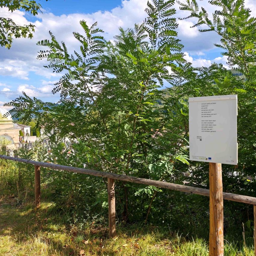 Ein weißes Schild ist auf einem Holzpfahl in einem Park montiert, umgeben von üppigem grünen Bäumen und Gras unter einem bewölkten Himmel.
