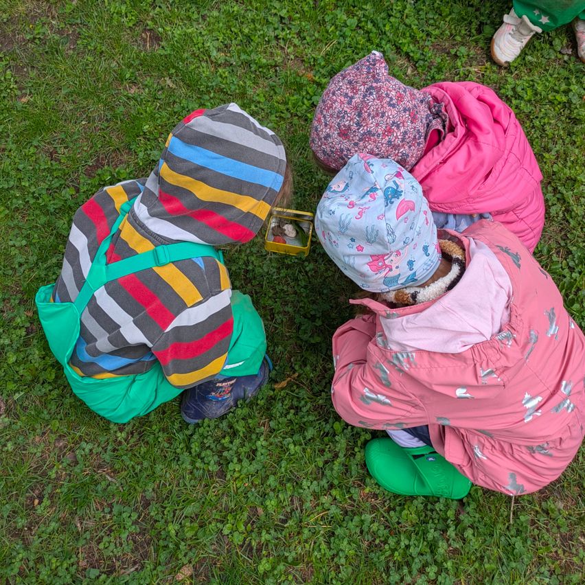 Drei Kinder knien auf Gras und untersuchen etwas in einer kleinen Box. Sie tragen farbenfrohe Jacken und Mützen. Das Gras ist grün mit Schmutzflecken.