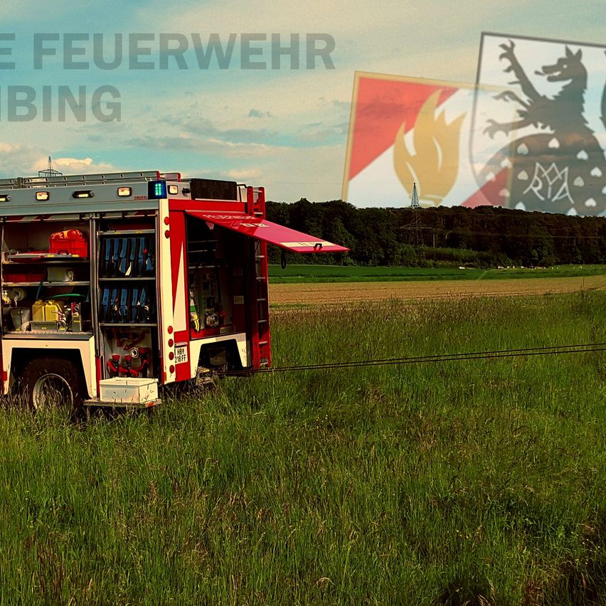 Bild enthält, Transportation, Truck, Vehicle, Person, Grass, Plant, Fire Truck, Machine, Wheel