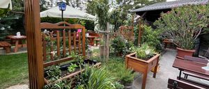 Ein Gartenpatio mit Holzkübeln, Bänken und einem weißen Baldachin. Es gibt verschiedene Pflanzen und Blumen im Bereich, und eine Straßenlampe ist sichtbar.