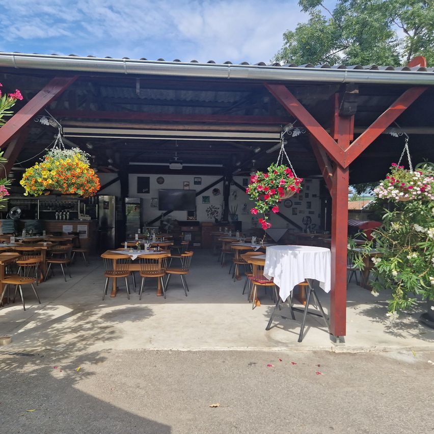 Bild enthält, Potted Plant, Patio, Porch, Restaurant, Pergola, Shelter, Garden, Chair, Flower Arrangement, Wood