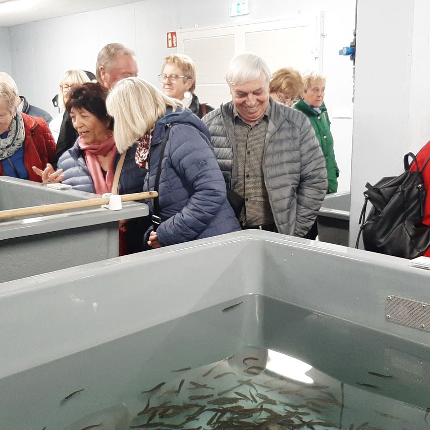 Eine Gruppe von Menschen, wahrscheinlich Touristen, versammelt sich um ein großes Aquarium und beobachtet die Fische darin. Das Becken ist mit zahlreichen Fischen gefüllt, und ein Holzstab ist teilweise im Wasser eingetaucht.