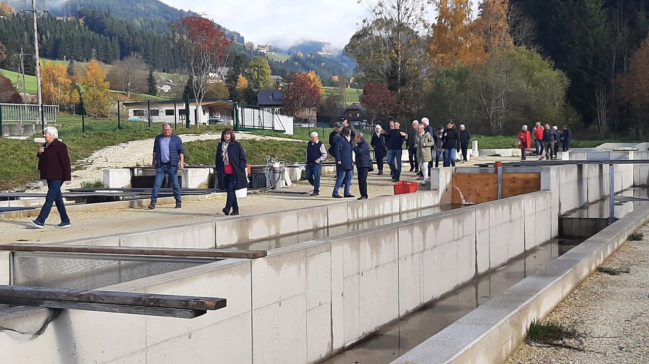 Eine Gruppe von Menschen ist an einer Betonbarriere versammelt, möglicherweise auf einem Bauernhof, mit einem malerischen Blick auf Berge und Bäume.