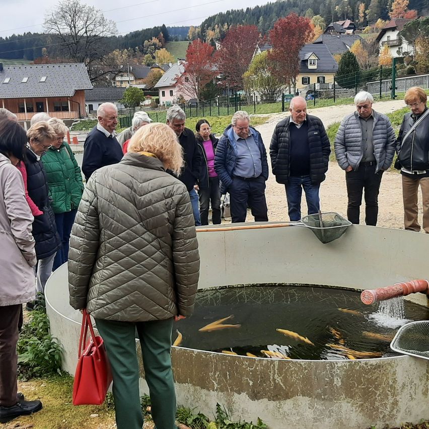 Mehrere Menschen stehen um einen runden Fischteich mit Goldfischen. Eine Frau hält eine rote Handtasche. Im Hintergrund befinden sich Häuser und Bäume.