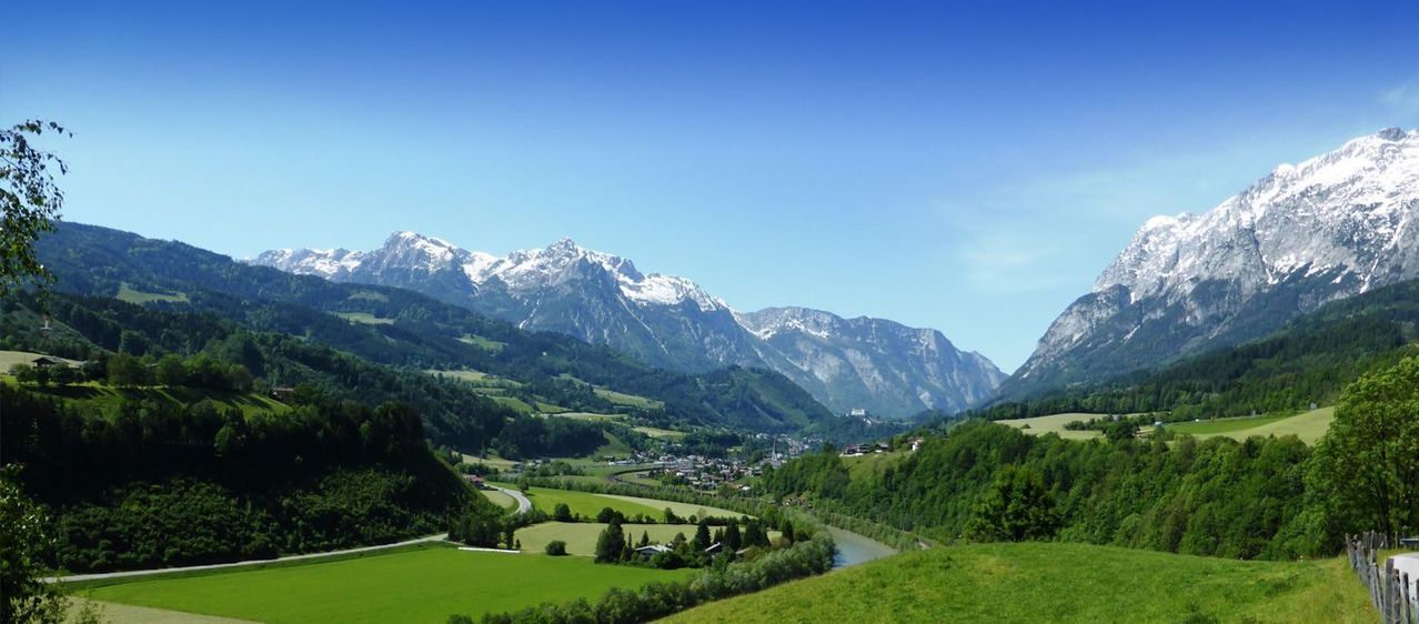 1727857852798_9627180924_image