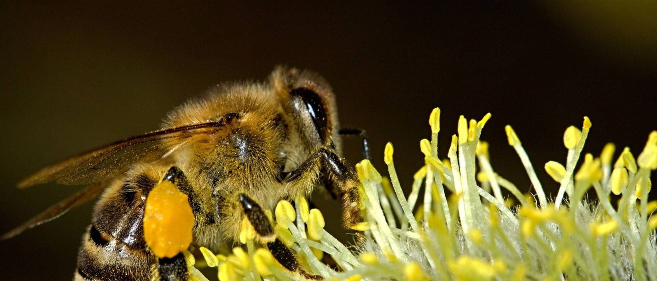 v1_migrated_image_9020865