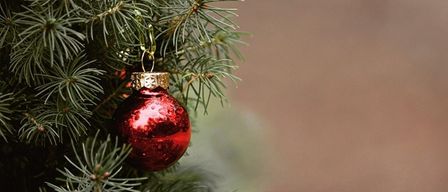 Ein Nahaufnahme eines Weihnachtsbaums, geschmückt mit einer roten Kugel, die Licht reflektiert.