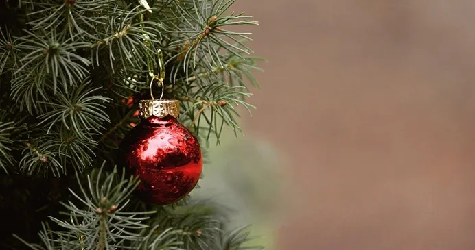 Ein Nahaufnahme eines Weihnachtsbaums, geschmückt mit einer roten Kugel, die Licht reflektiert.