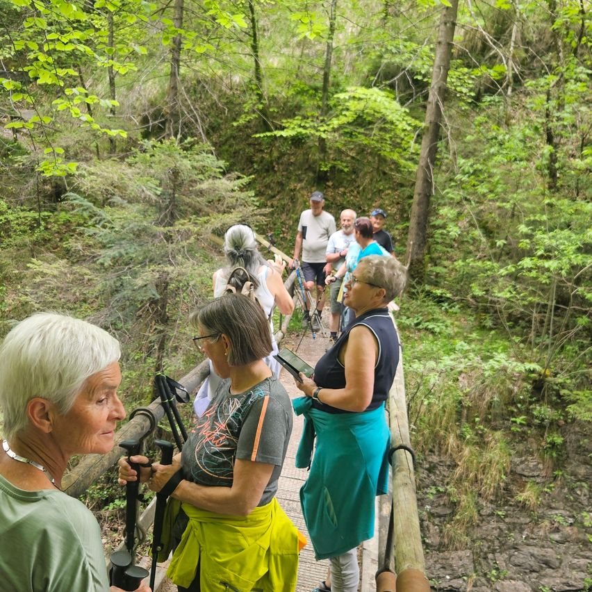 Eine Gruppe von Wanderern steht auf einer Holzbrücke und blickt in den Wald. Einige halten Wanderstöcke und andere tragen Rucksäcke. Der Weg ist von üppiger Vegetation umgeben.