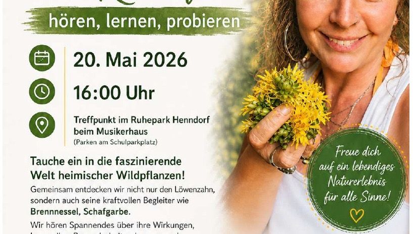 Ein Flyer lädt zu einer Veranstaltung über Wildpflanzen ein. Das Event findet am 20. Mai 2026 um 16:00 Uhr statt. Der Treffpunkt ist Ruhepark Henndorf beim Musikhaus. Lernen Sie die Eigenschaften und Verwendungen von Pflanzen wie Löwenzahn und Brennnessel kennen.