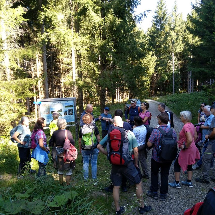 Bild enthält, Vegetation, Hiking, Land, Tree, Woodland, Grove, Bag, Wilderness, Rainforest, Walking
