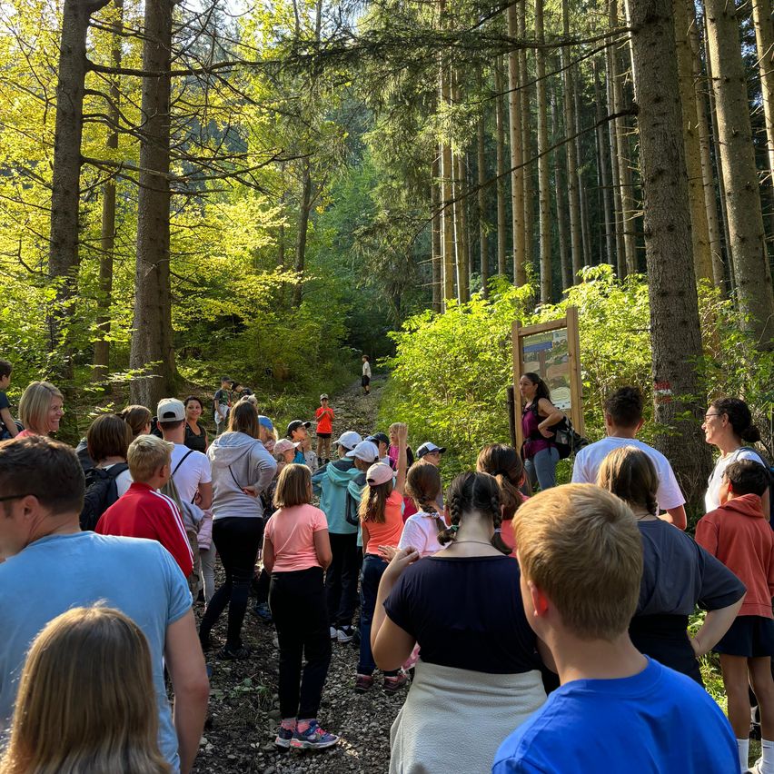 Bild enthält, Land, Tree, Vegetation, Woodland, Grove, Adult, Female, Person, Woman, Walking