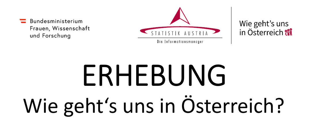 Das Bild zeigt ein Logo für 'Statistik Austria' mit dem Text 'Die Informationsmanager'. Darunter ist das Wort 'ERHEBUNG' deutlich sichtbar. Die Phrase 'geht's uns in Österreich' ist ebenfalls vorhanden.