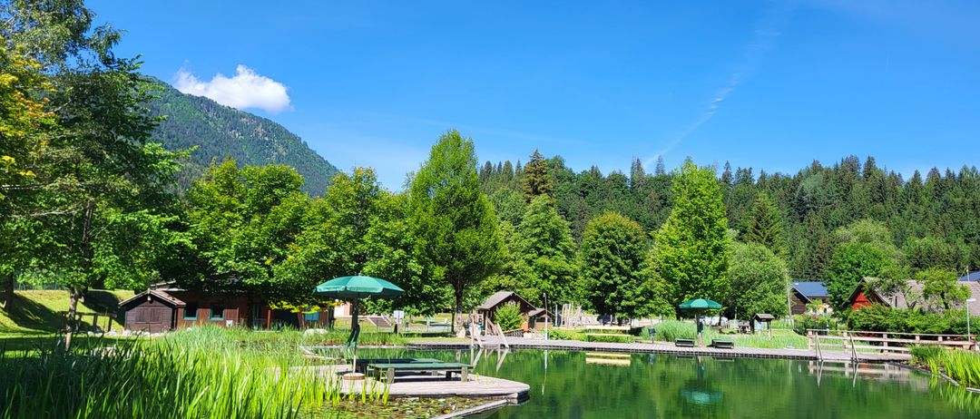 Ein ruhiger See mit einem Holzsteg, umgeben von üppigem Grün und Häusern, unter einem klaren blauen Himmel.