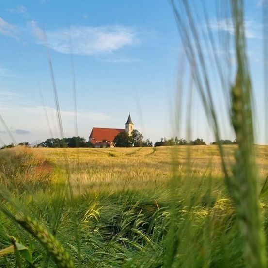 Bild enthält, Outdoors, Shelter, Grass, Landscape, Nature, Vegetation, Field, Scenery, Grassland, Sky