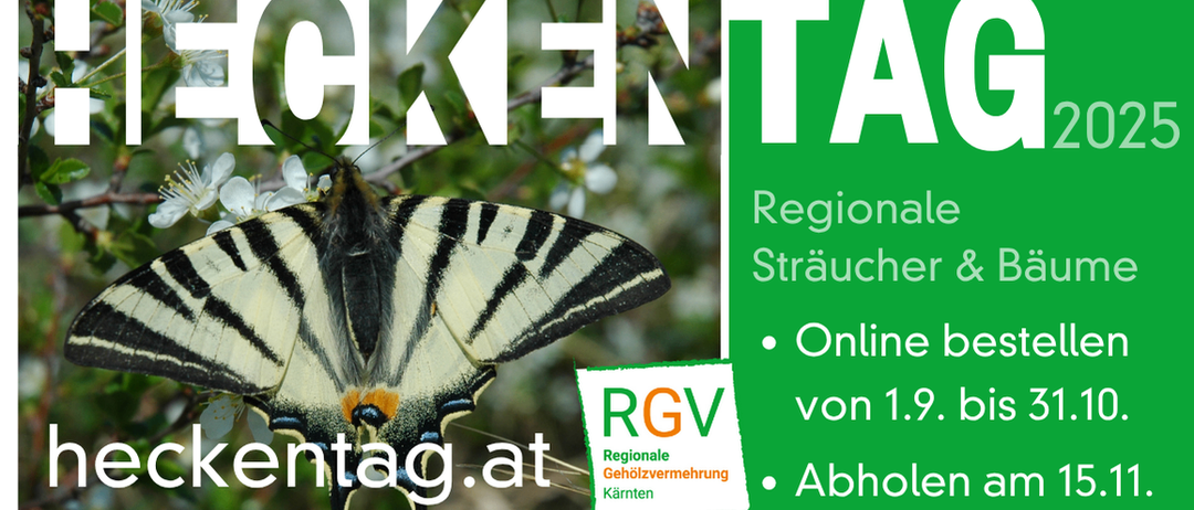 Das Bild zeigt einen Schmetterling mit weißen und schwarzen Flügeln und gelben Flecken vor einem grünen Hintergrund. Es enthält Text zur Förderung regionaler Hecken und zur Online-Registrierung sowie Logos einer regionalen Organisation und einer Kampagne.