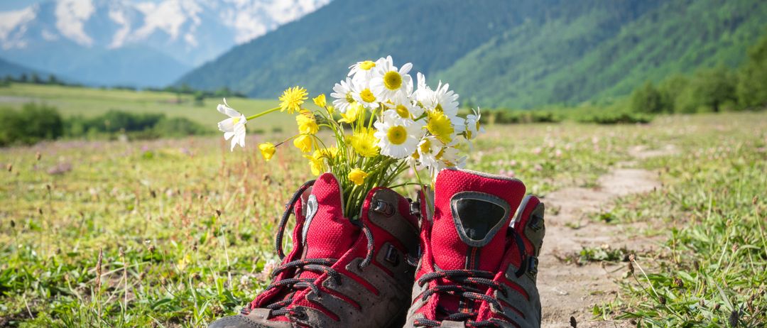 Ein Paar rote Wanderschuhe, gefüllt mit weißen und gelben Gänseblümchen auf einer Wiese mit Bergen im Hintergrund.