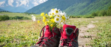 A pair of red hiking boots filled with white and yellow daisies on a grassy field with mountains in the background.