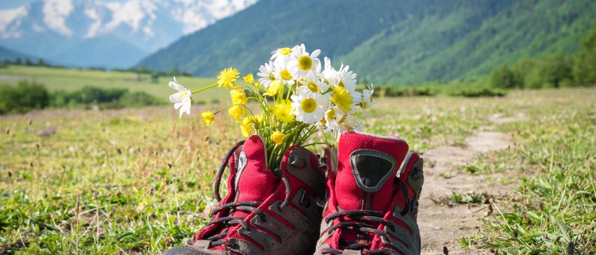 Ein Paar rote Wanderschuhe, gefüllt mit weißen und gelben Gänseblümchen auf einer Wiese mit Bergen im Hintergrund.