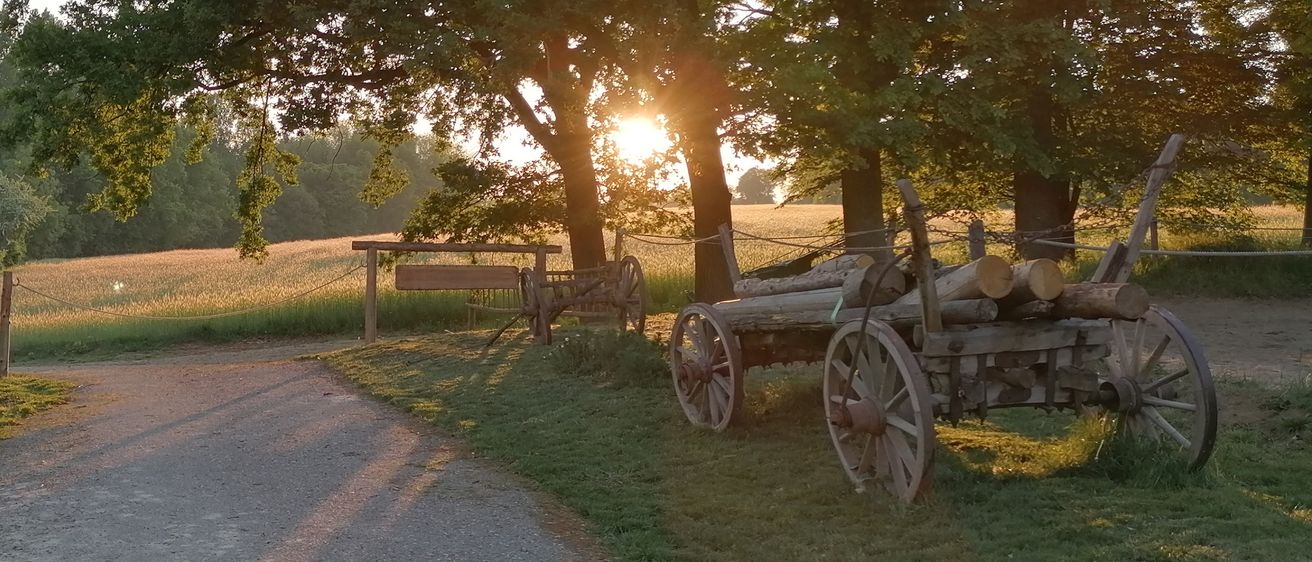Ein Kiesweg führt zu einem Holztor, mit einem mit Holz beladenen Wagen und einer Bank in der Nähe. Die Sonne geht hinter einem Grasfeld unter.