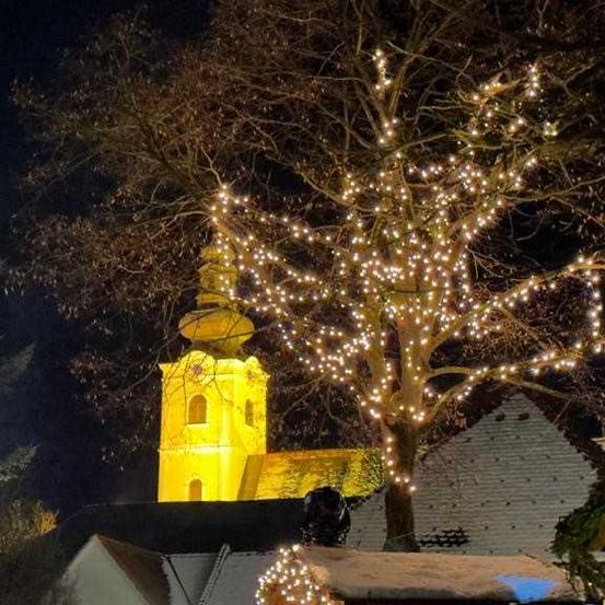 Bild enthält, Spire, Tower, Tree, Monastery, Clock Tower, Bell Tower, Outdoors, Conifer, Nature