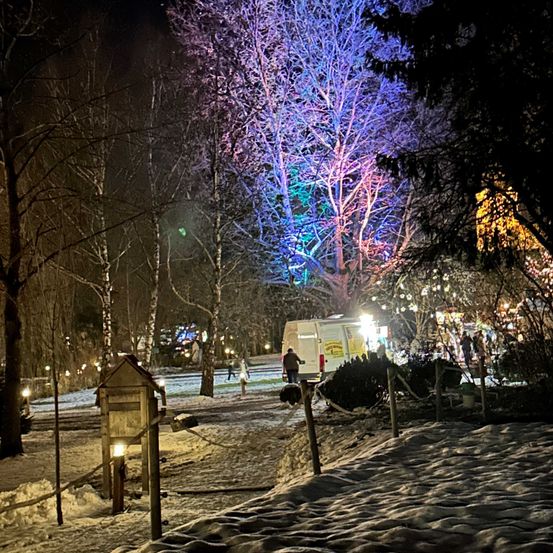 Bild enthält, Path, Lighting, Walkway, Sidewalk, Road, Urban, Outdoors, Person, Nature, Tree