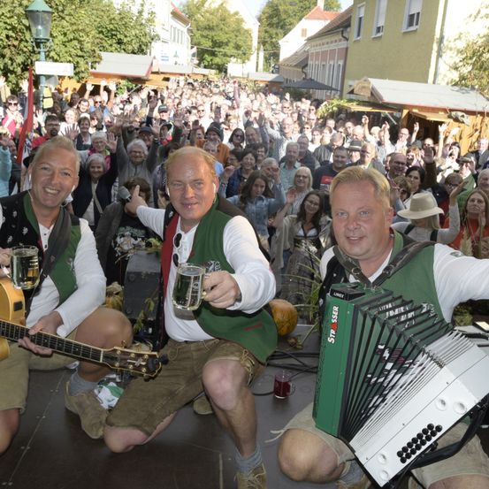 Bild enthält, Group Performance, Music Band, Musical Instrument, Person, Concert, Guitar, Adult, Male, Man, Face