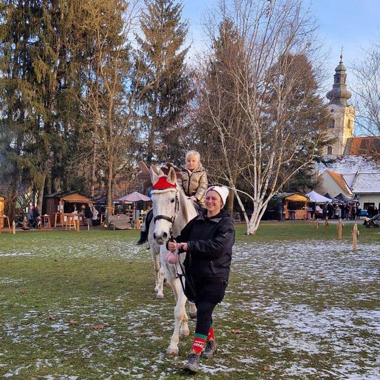 Bild enthält, Grass, Nature, Outdoors, Park, Plant, Person, Tree, Horse, Dog, Snow