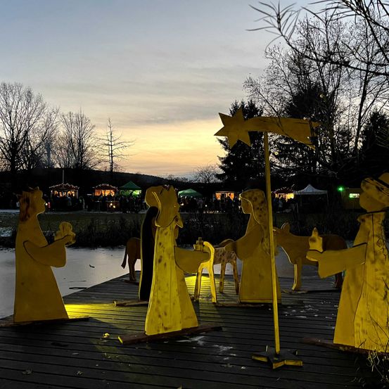 Bild enthält, Coat, Adult, Female, Person, Woman, Waterfront, Raincoat, Elephant, Outdoors, People