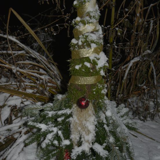 Bild enthält, Plant, Tree, Fir, Nature, Outdoors, Snow, Christmas Decorations, Festival, Snowman, Winter