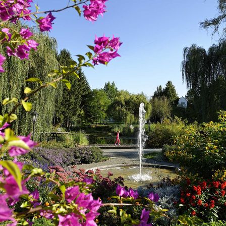 Bild enthält, Nature, Outdoors, Park, Garden, Fountain, Water, Vegetation, Tree, Petal, Pond