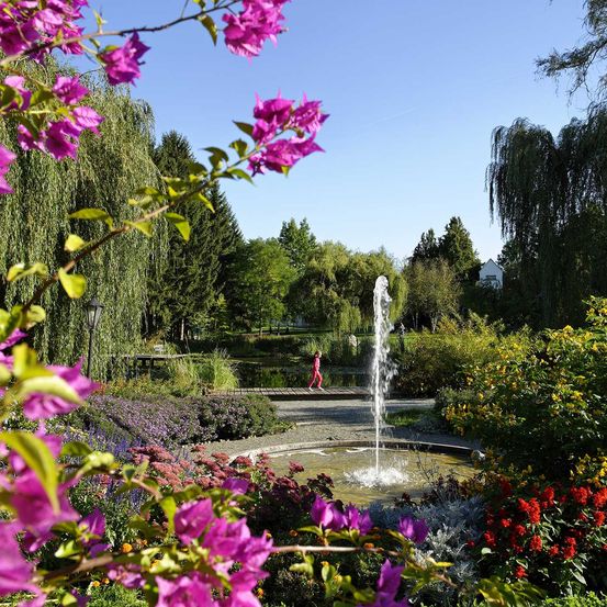 Bild enthält, Nature, Outdoors, Park, Garden, Fountain, Water, Vegetation, Tree, Petal, Pond