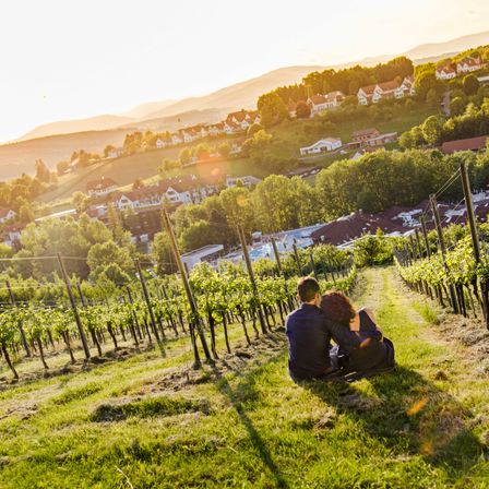 Bild enthält, Nature, Outdoors, Countryside, Rural, Farm, Vineyard, Adult, Male, Man, Person
