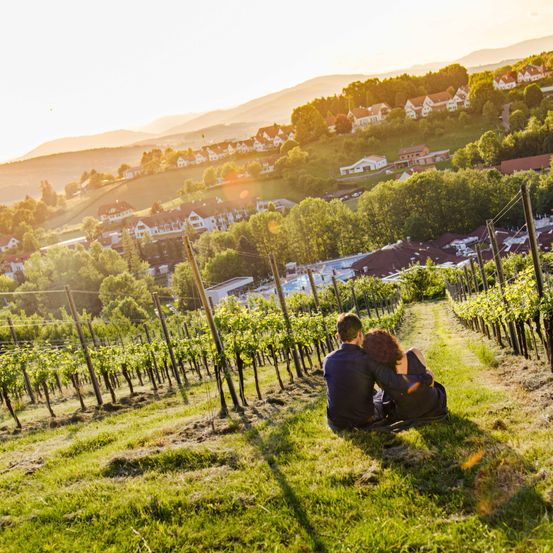 Bild enthält, Nature, Outdoors, Countryside, Rural, Farm, Vineyard, Adult, Male, Man, Person