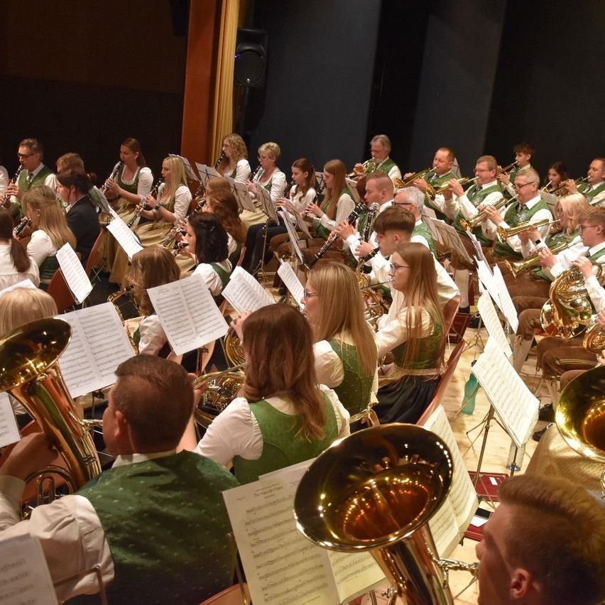 Bild enthält, Group Performance, Person, Adult, Male, Man, Music Band, Musical Instrument, Tuba, People, Indoors