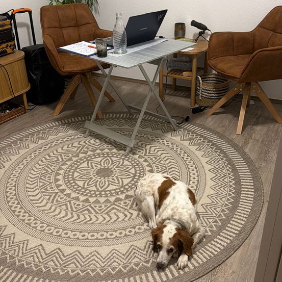 Ein Hund liegt auf einem kreisförmigen Teppich in einem Raum mit Schreibtisch, Laptop und Stühlen. Der Teppich hat ein geometrisches Muster.