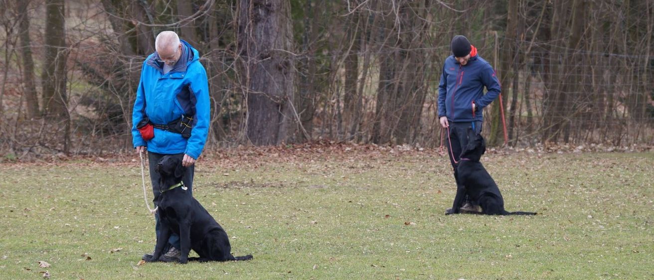 v1_migrated_image_73582506