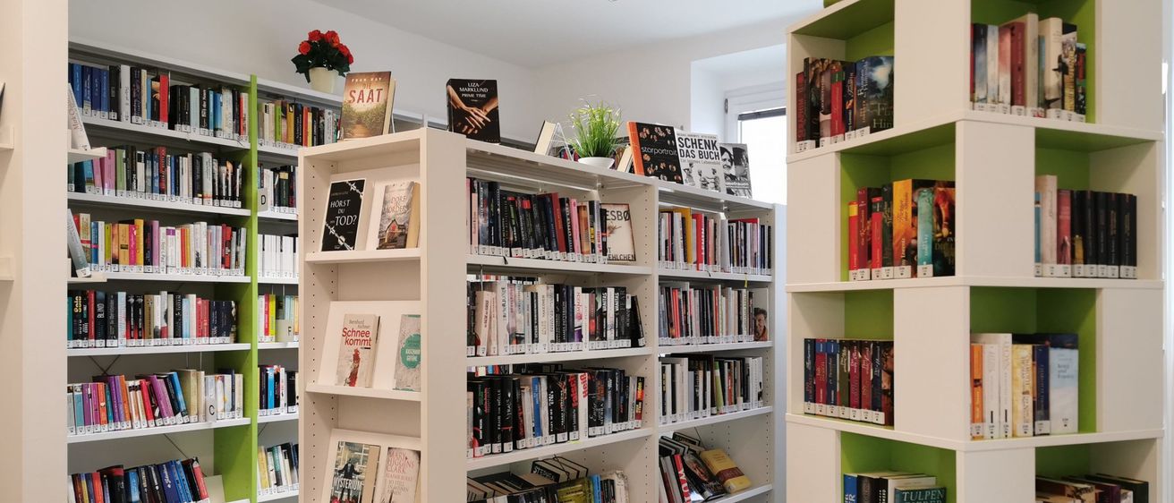 Bild enthält, Furniture, Bookcase, Book, Publication, Indoors, Library, Person