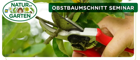 Eine Hand hält eine rote Astschere, die einen Ast von einem Baum schneidet. Der Text lautet 'Obstbaumschnitt Seminar'.