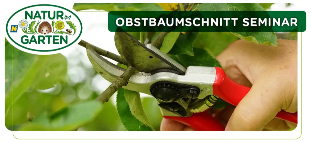 Eine Hand hält eine rote Astschere, die einen Ast von einem Baum schneidet. Der Text lautet 'Obstbaumschnitt Seminar'.