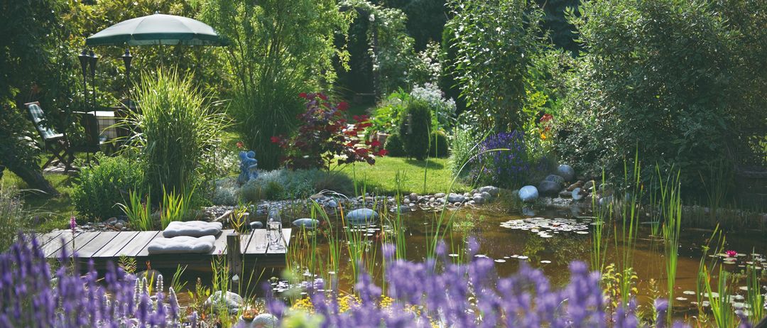Ein Garten mit einem Teich, umgeben von verschiedenen Pflanzen und Blumen, einschließlich Lavendel und Seerosen. Eine Holzterrasse mit Kissen befindet sich neben dem Teich.